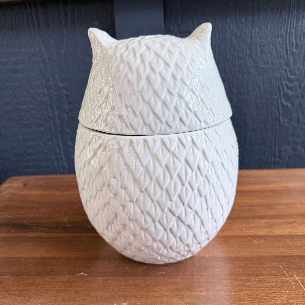 West Elm Owl Cookie Jar Canister White Ceramic Excellent Textured Feather Detail